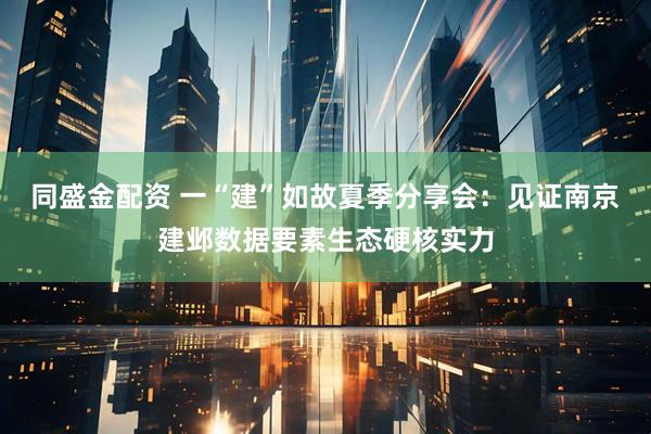 同盛金配资 一“建”如故夏季分享会：见证南京建邺数据要素生态硬核实力