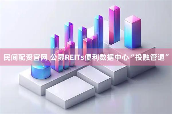 民间配资官网 公募REITs便利数据中心“投融管退”